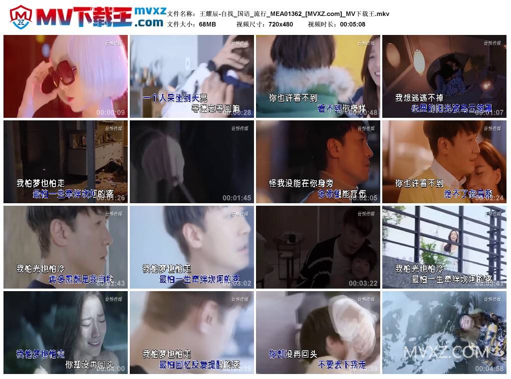 王耀辰-自找_国语_流行_MEA01362